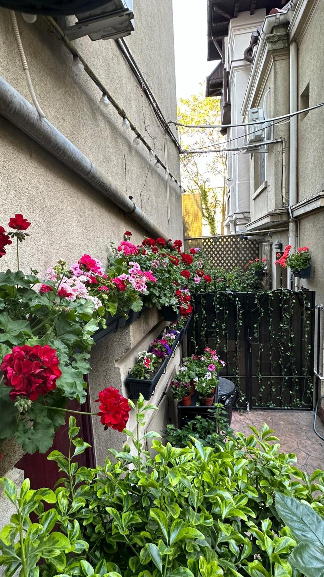 Casa De Povesti - Calea Victoriei Appartement Boekarest Buitenkant foto